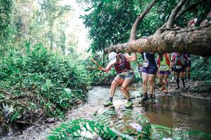 BIB: 
                            <button type="button" onclick="openModal(25458902)" class="btn btn-primary btn-sm float-right btn-popup" data-toggle="modal" data-target=".modal-high-quality">
                        <i class="fas fa-shopping-cart"></i> Add to Cart
                    </button>
                                            <button type="button" onclick="isThisMe(25458902, true)" class="btn btn-success btn-sm float-right btn-popup btn-isme hidden" data-toggle="tooltip" data-placement="bottom" title="นี่คือรูปของคุณใช่ไหม คลิกที่นี่เพื่อเอาเข้าอัลบั้ม">
                        <i class="fas fa-plus"></i> Add to album
                    </button>
                    <button type="button" onclick="isThisMe(25458902, false)" class="btn btn-warning btn-sm float-right btn-popup btn-isnotme hidden">
                        <i class="fas fa-ban"></i> Remove from album
                    </button>